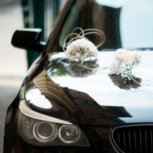 Book Limousine Services Chicago - Airport Transfers, Engagement and Wedding Ceremonies, Personal Site seeing, Corporate and Business Travel